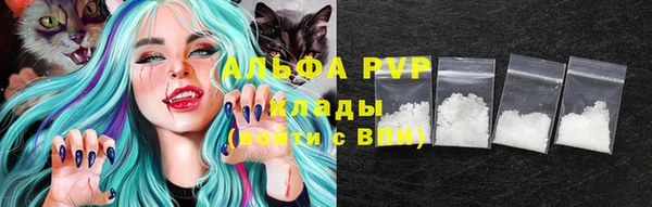 ПСИЛОЦИБИНОВЫЕ ГРИБЫ Заводоуковск