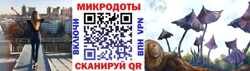 Псилоцибиновые грибы мицелий  Купить закладки  Людиново 